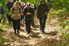 IMG-20260525-WA0082
