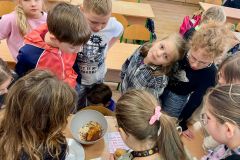 WhatsApp-Image-2026-04-13-at-20.41.06-3