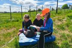 IMG-20260527-WA0006