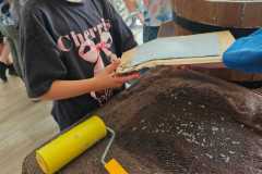 IMG-20260527-WA0037