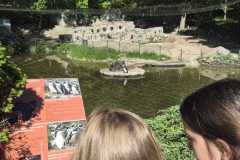 IMG-20260525-WA0010