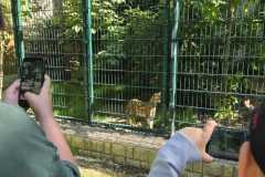 IMG-20260525-WA0012