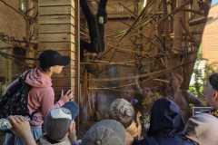 IMG-20260525-WA0013