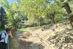 IMG-20260525-WA0014