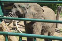 IMG-20260525-WA0016