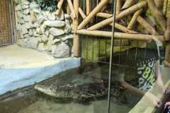 IMG-20260525-WA0018