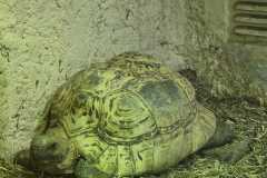 IMG-20260525-WA0019