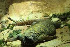 IMG-20260525-WA0020
