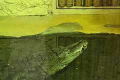 IMG-20260525-WA0021