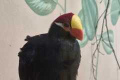IMG-20260525-WA0022