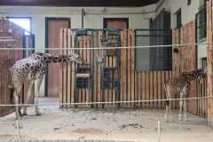 IMG-20260525-WA0023