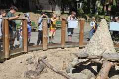 IMG-20260525-WA0024
