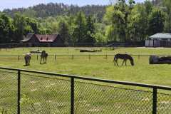 IMG-20260525-WA0025