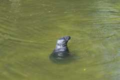 IMG-20260525-WA0027